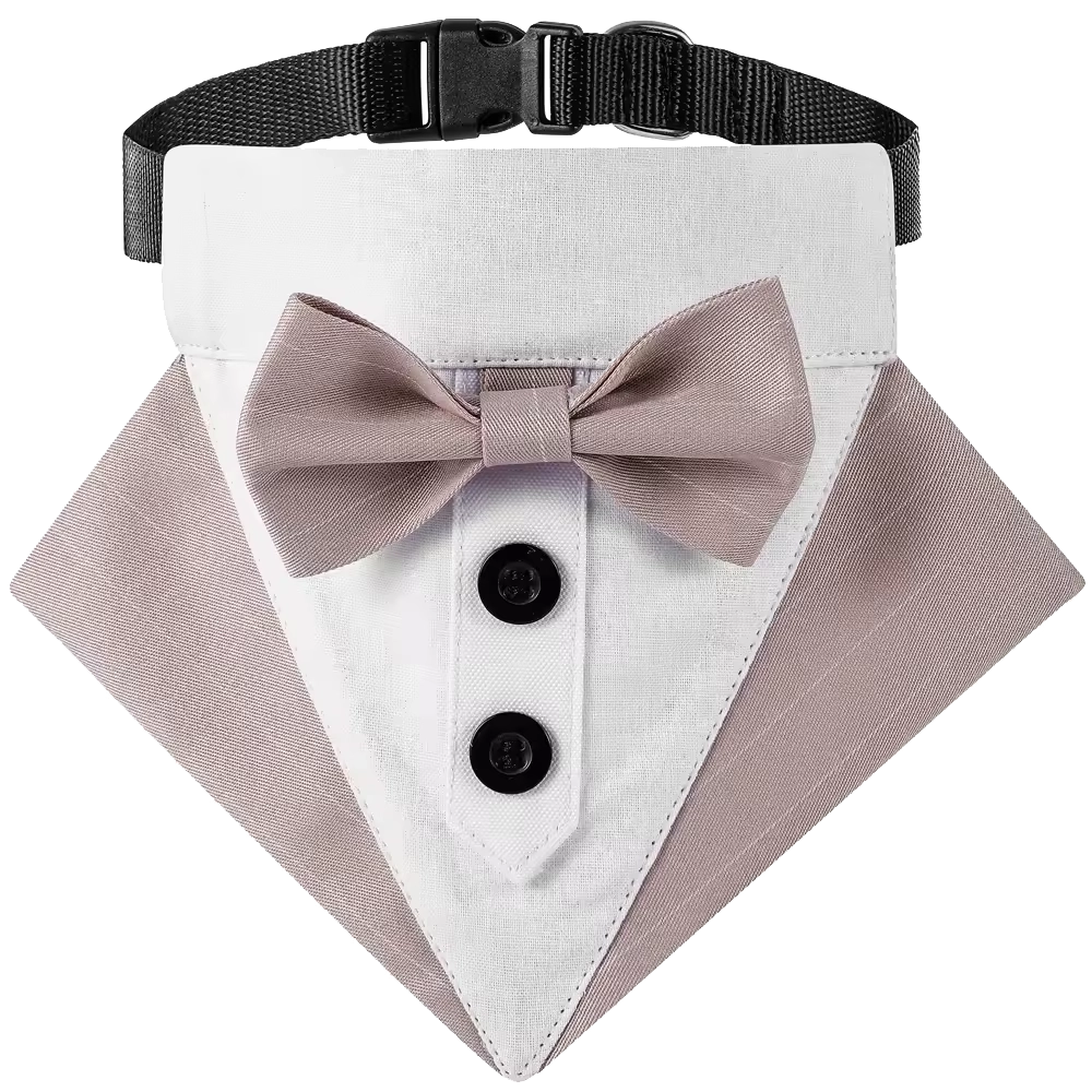 Tuxedo Collar Pink