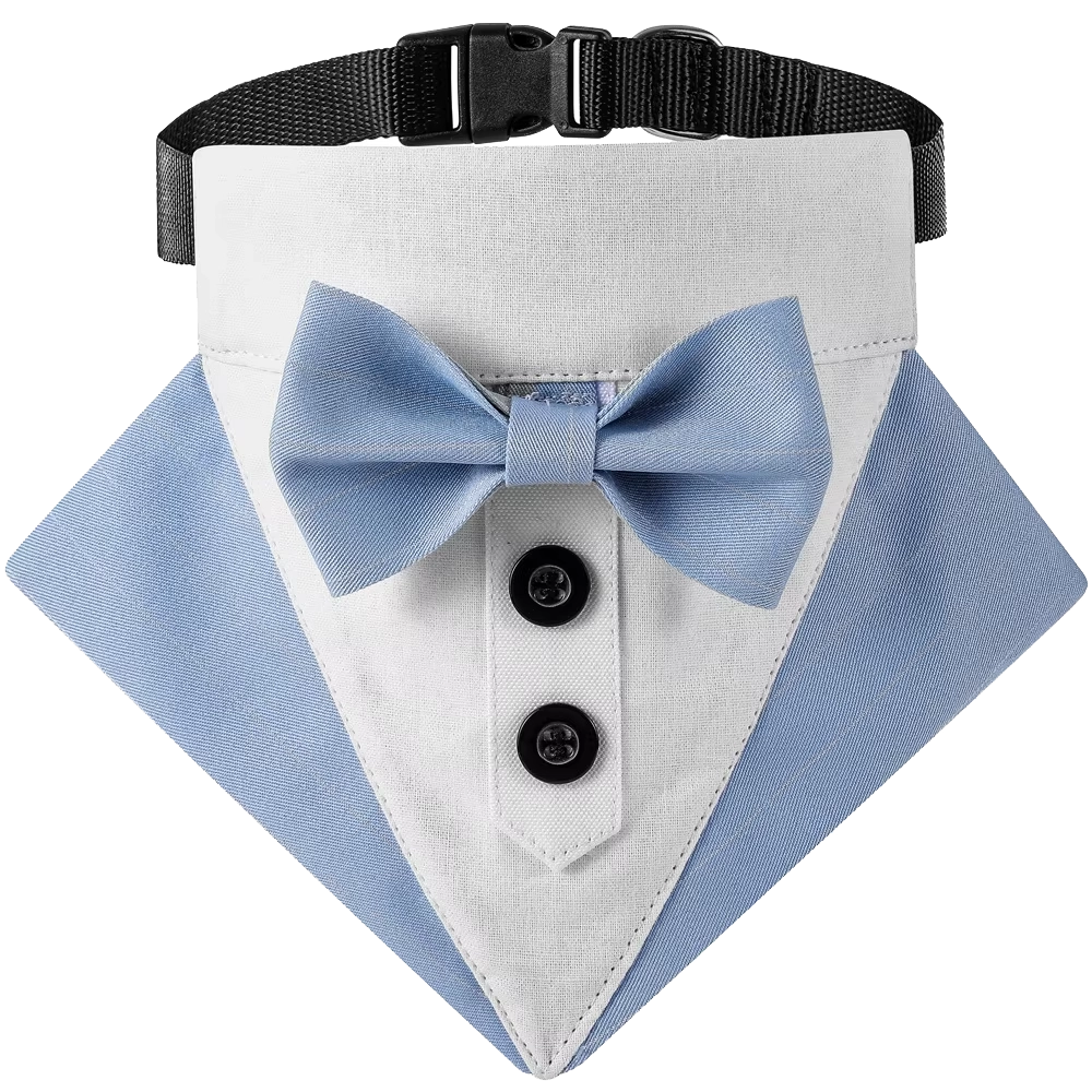 Tuxedo Collar Blue