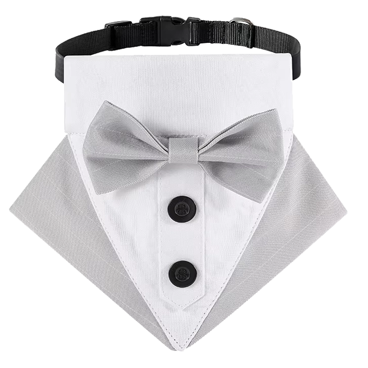 Tuxedo Collar Grey