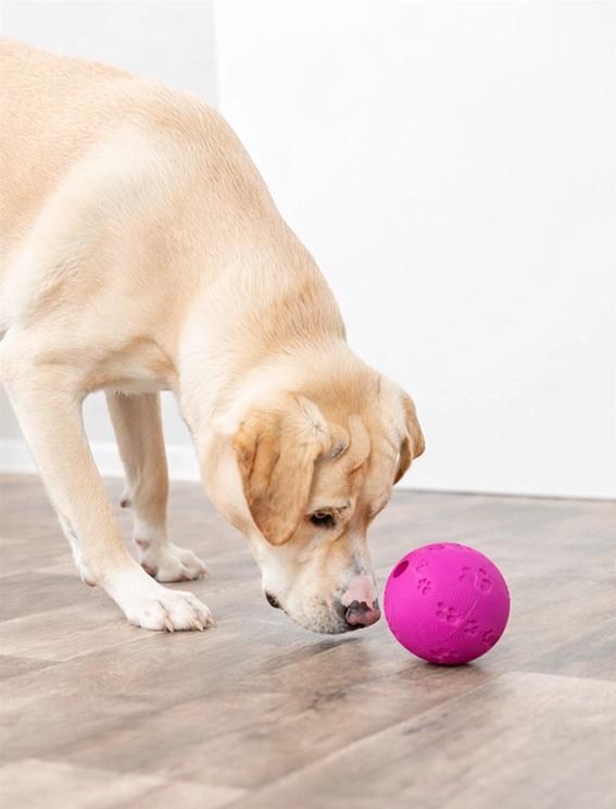 Snack-boll Naturgummi, Labyrint 11cm