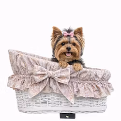 Jackie Överdrag till Cykelkorg, Paisley Dusty Rose