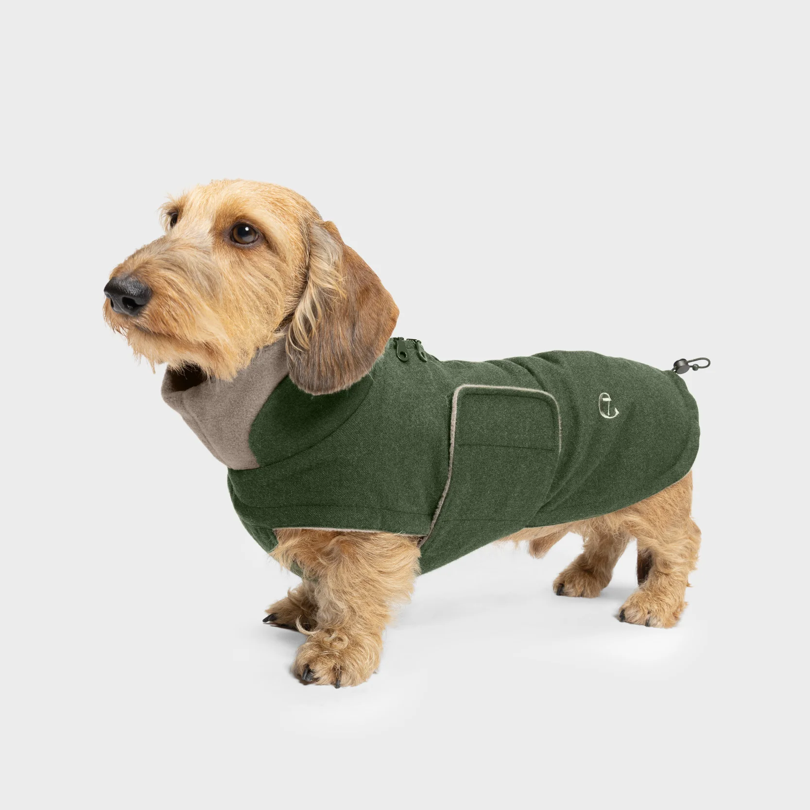 Cloud7 Dachshund Coat Brooklyn Flannel Fern Green