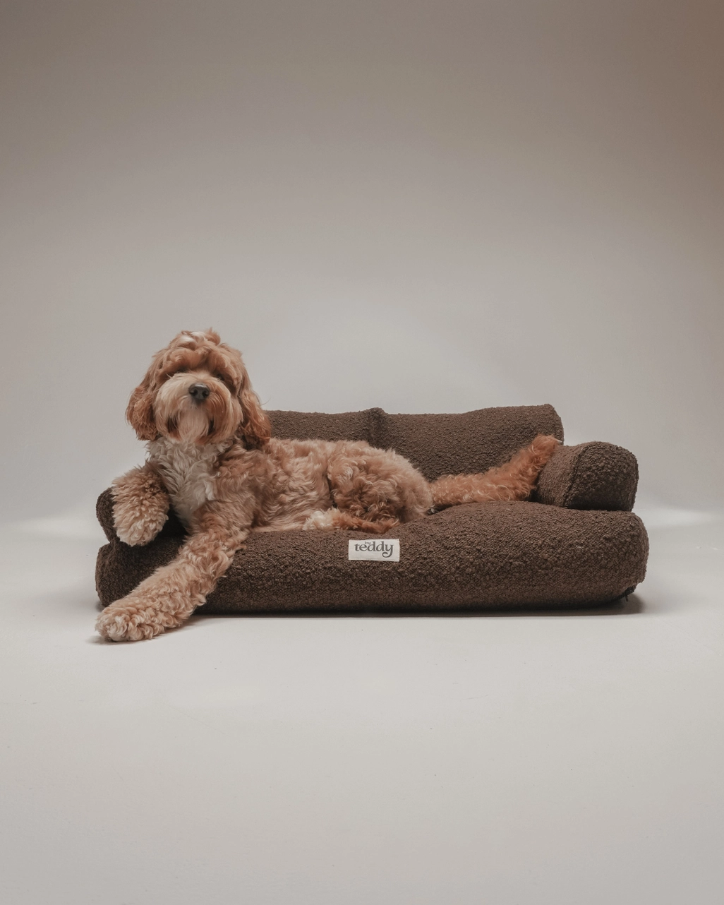 By Teddy Teddington Hundsoffa, Choklad