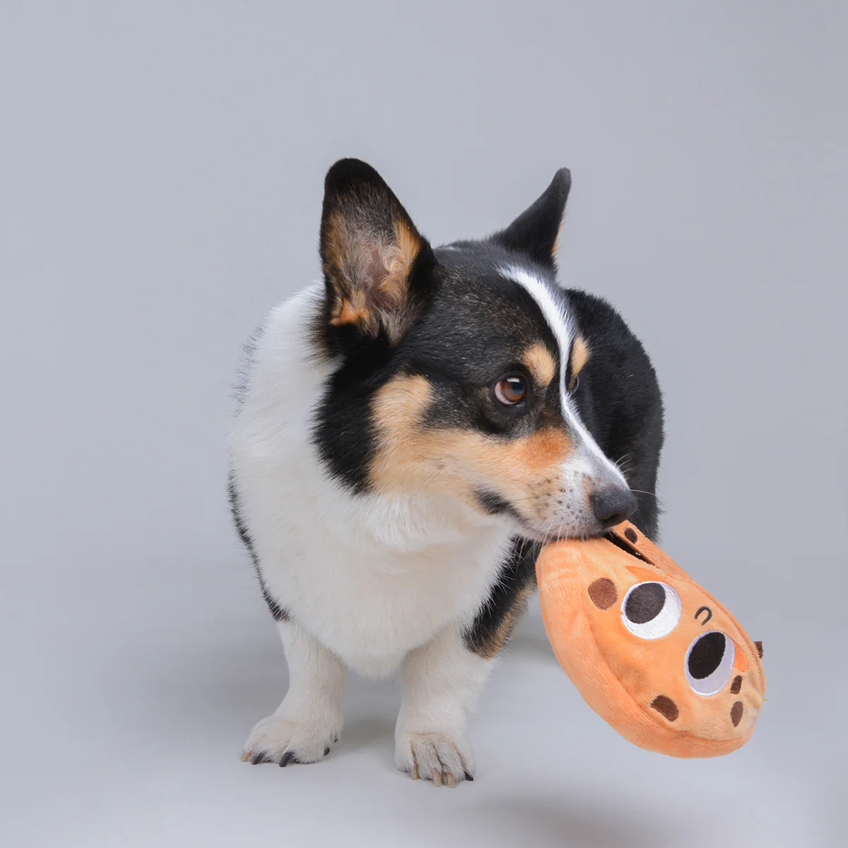 Freaky Cookie Nose Work Toy