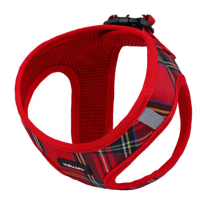 Step-in-sele Scottish Red