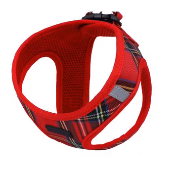 Step-in-sele Scottish Red