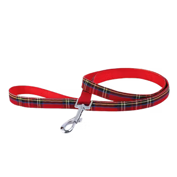 Hundkoppel Scottish Red