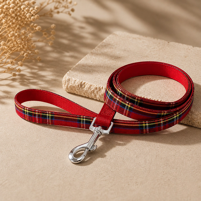 Hundkoppel Scottish Red