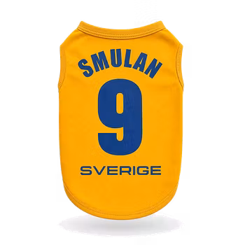 Personlig Sverige-tröja för hund