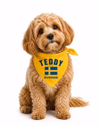 Sverige Bandana för Hund med Namn