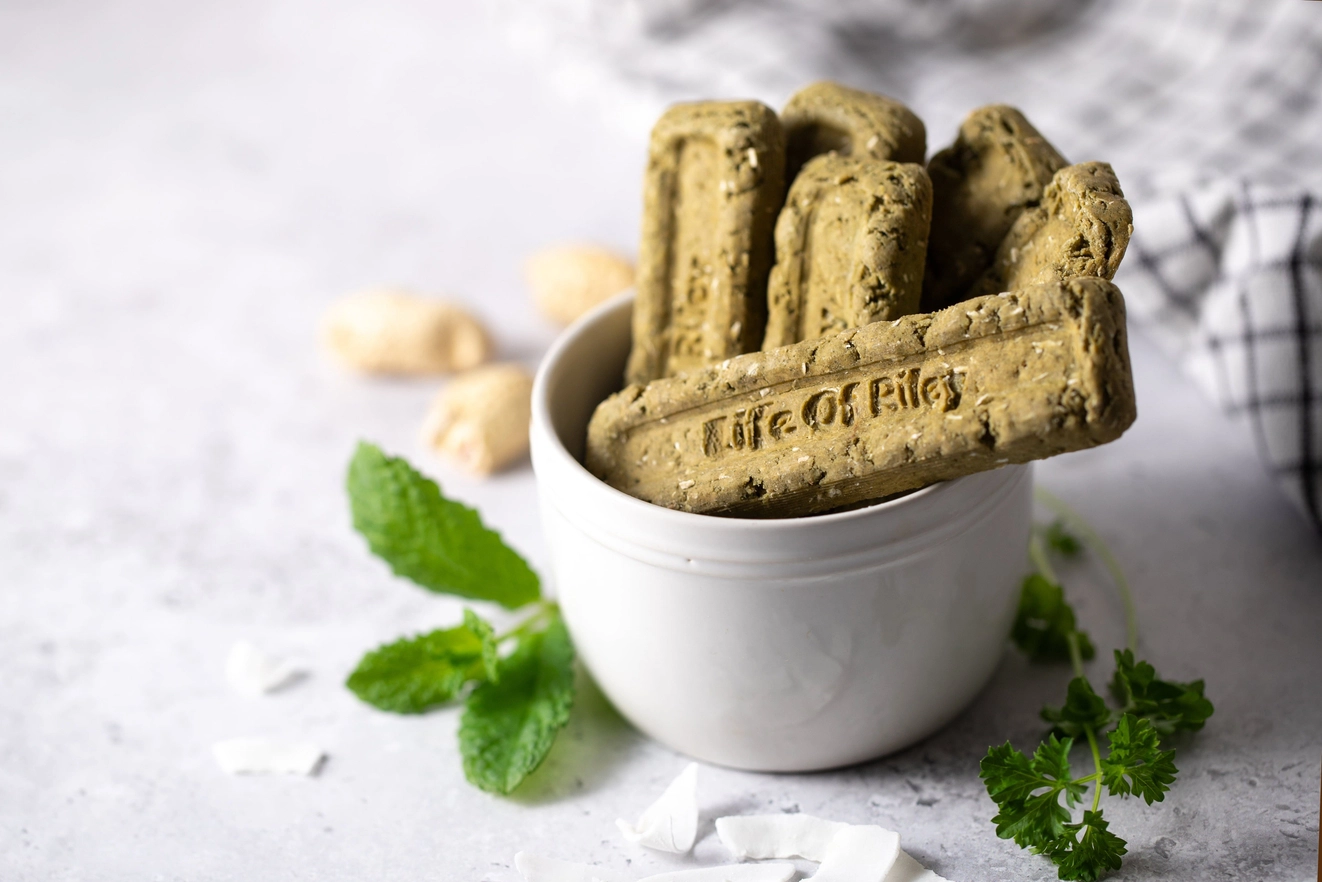 Daily Dental Sticks – Spannmålsfria Dentaltugg med Spirulina & Mint