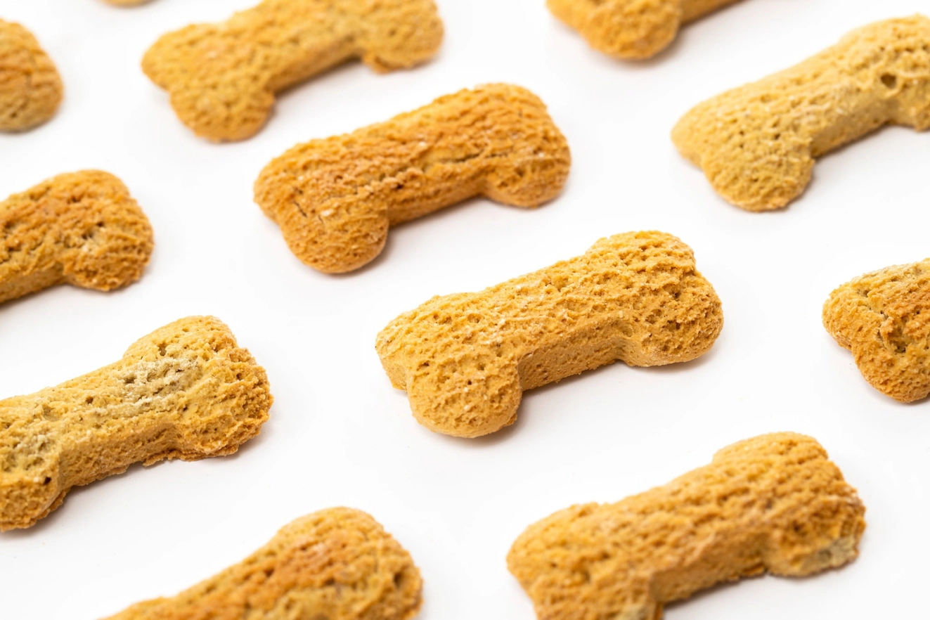 Bedtime Biscuits för Hundar – Spannmålsfria Lugnande Hundkex