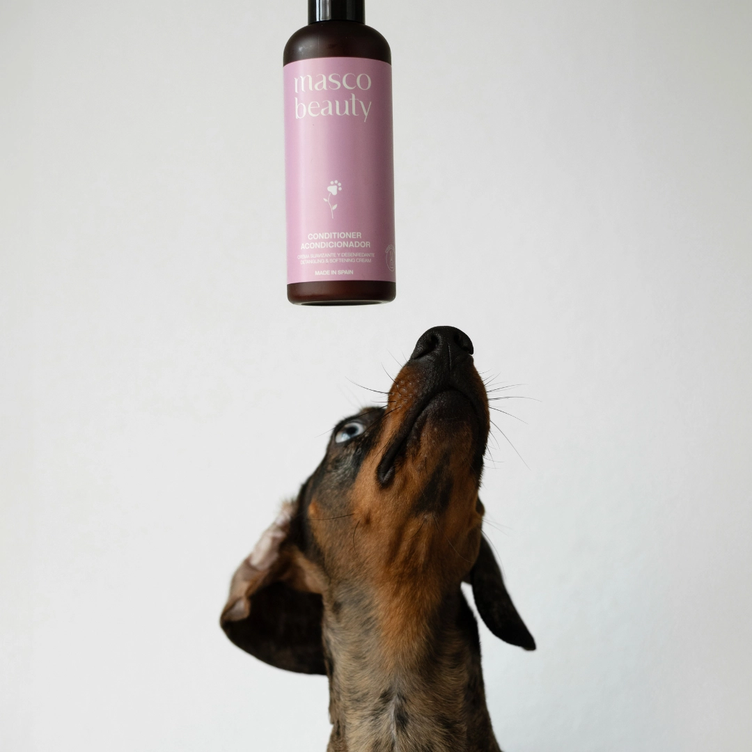 Masco Beauty Hundbalsam mot tovor & trassel