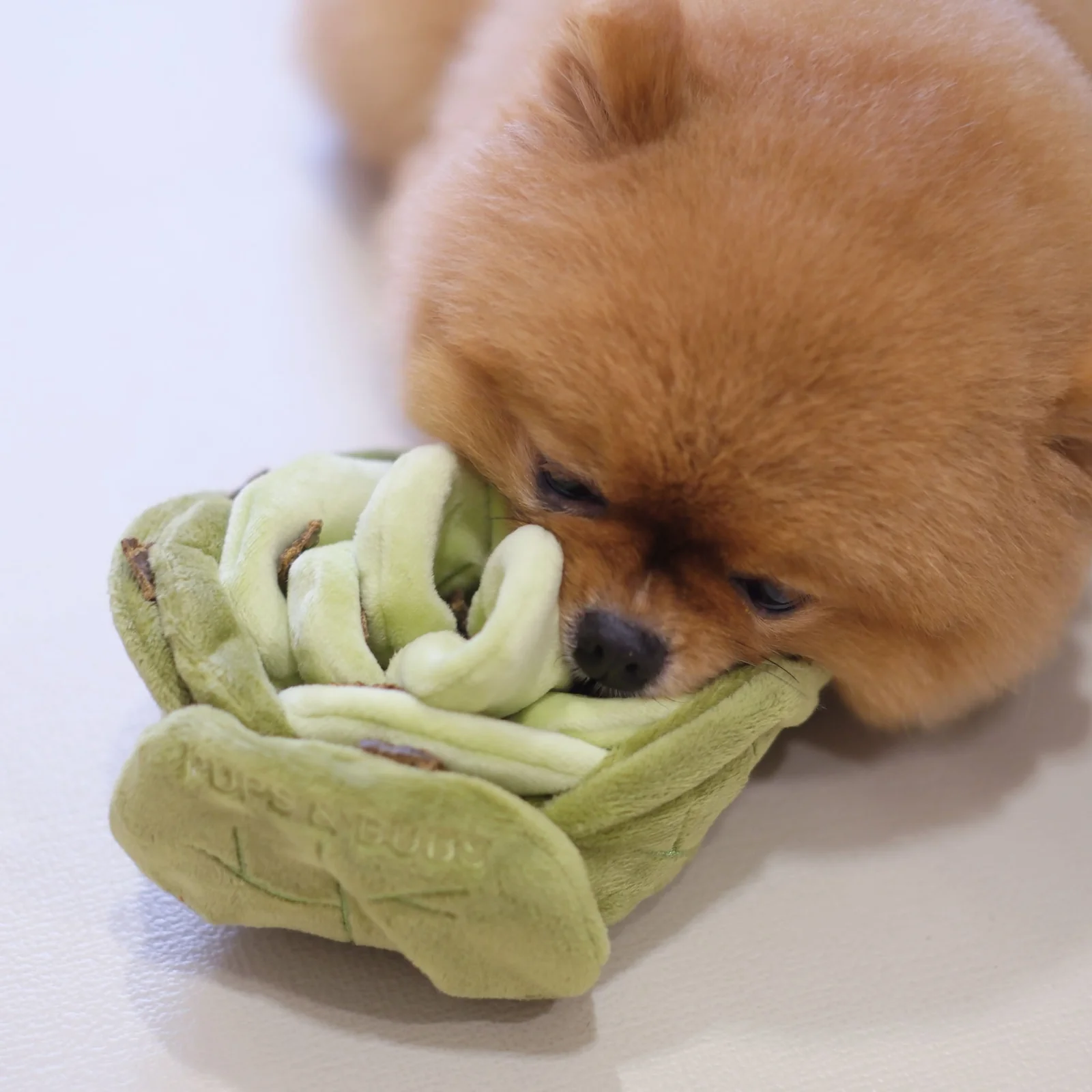 Pups & Bubs Snuffle Cabbage Berikningsleksak