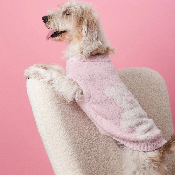 Feather Yarn Lala Dog Sweater