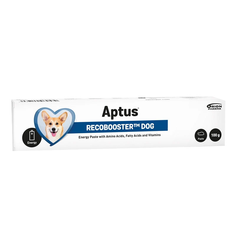 Aptus Recobooster Dog 100g