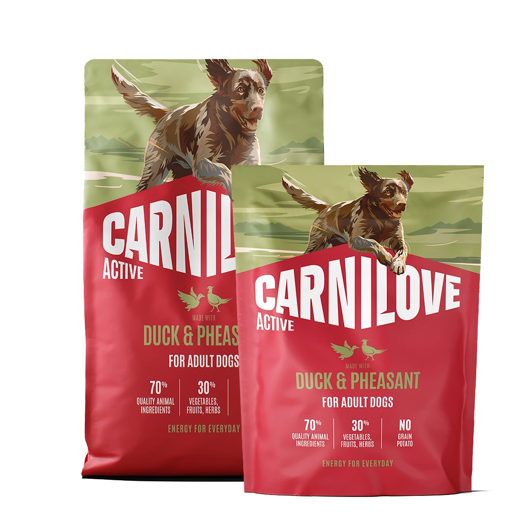 Active Adult All Breeds Duck & Pheasant