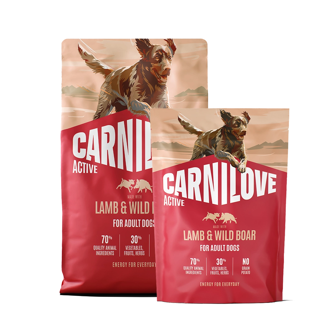 Active Adult All Breeds Lamb & Wild Boar