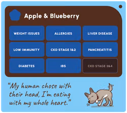 SOOPA  Apple & Blueberry Dental Sticks