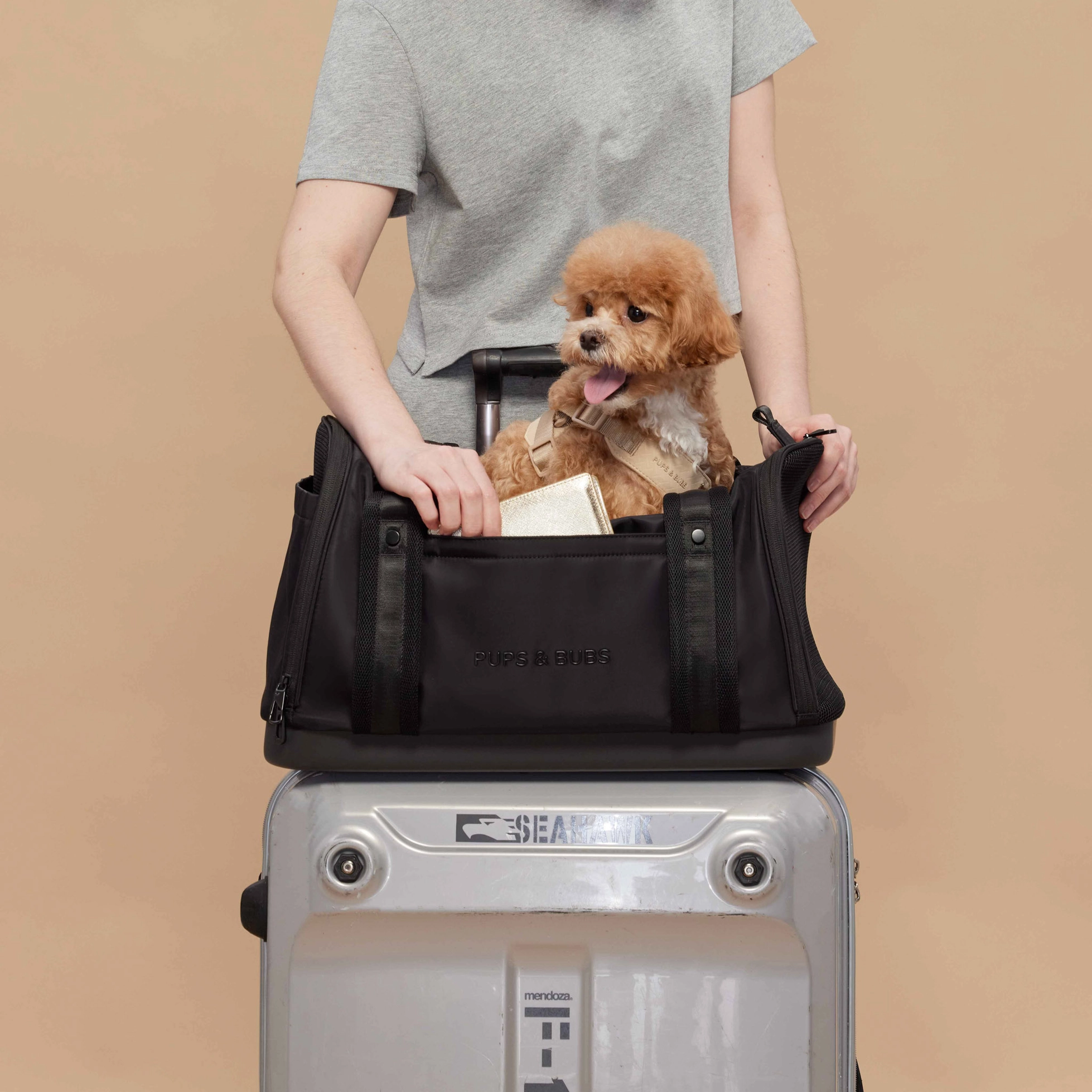 Onboard Travel Pet Carrier (Airline Compliant)