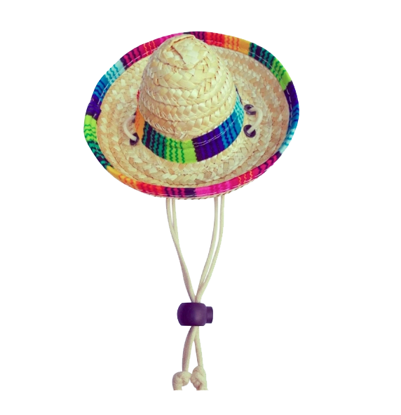 Sombrero Hatt för Hund och Katt