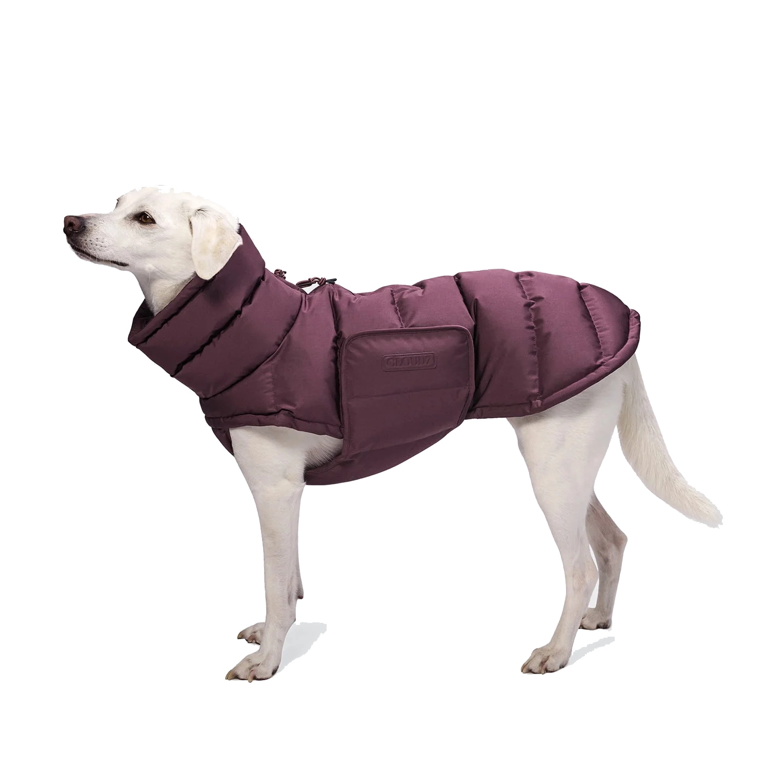Cloud7 Dog Coat Alaska Aubergine