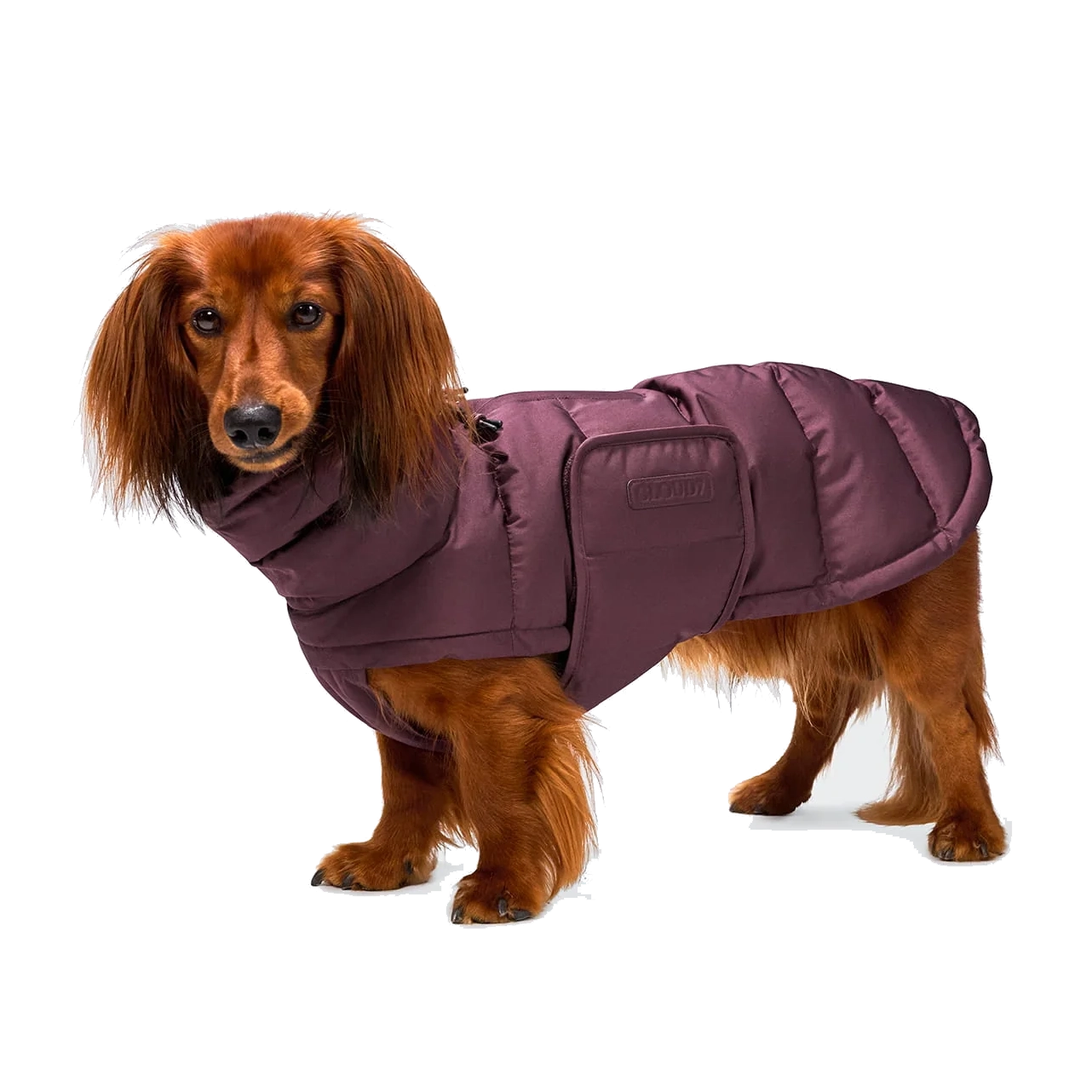 Cloud7 Dachshund Coat Alaska Aubergine