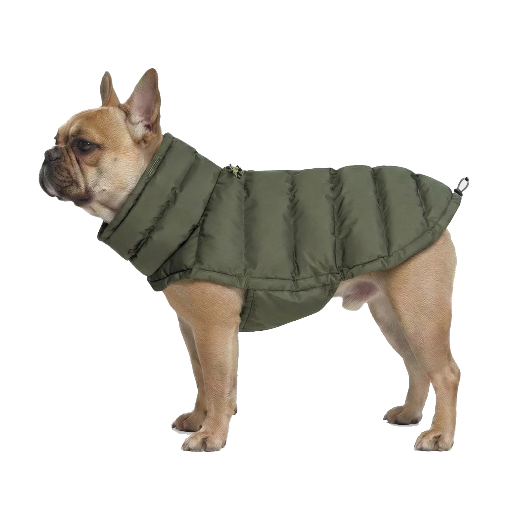 Cloud7 Dog Coat Alaska Fr. Bulldog Olive
