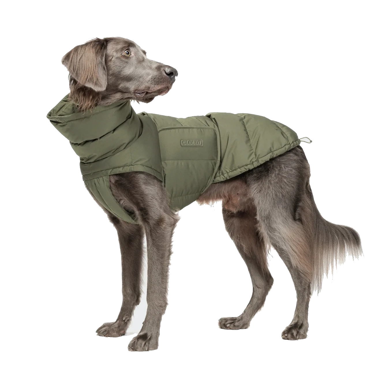 Cloud7 Hundtäcke Alaska Light Olive