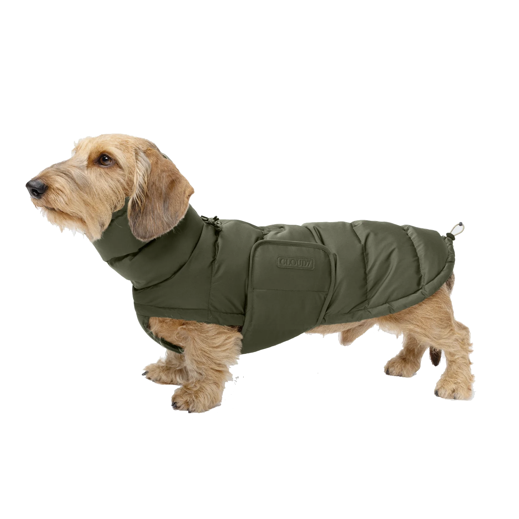 Cloud7 Dachshund Coat Alaska Light Olive