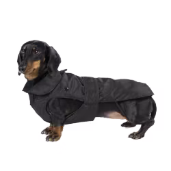 Waterproof Dachshund Coat Detachable Padding Black