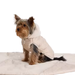 Quilted Dog Coat, Beige