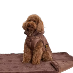 Quilted Dog Coat, Brown