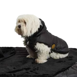 Quilted Dog Coat, Black