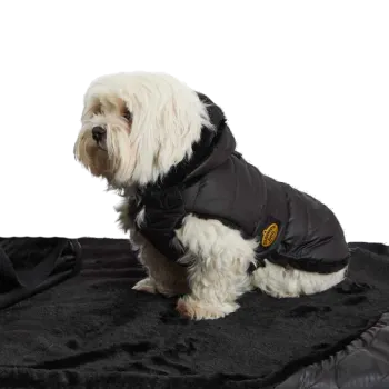 Quilted Dog Coat, Black