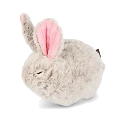 Baxter the Bunny