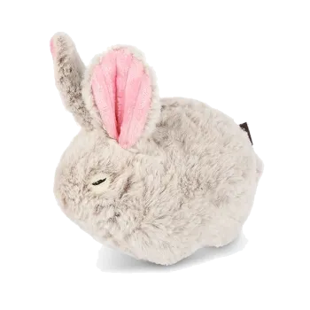 Baxter the Bunny