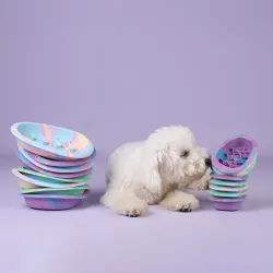 Interactive Dog Lick Bowl Rainbow – Slow Feeder & Slickskål