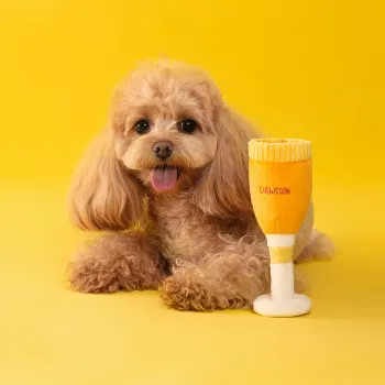 Pawsecco Hundleksak