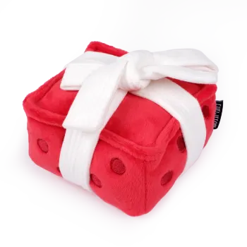 Gift Box Dog Squeaky & Crinkle Snuffle Toy