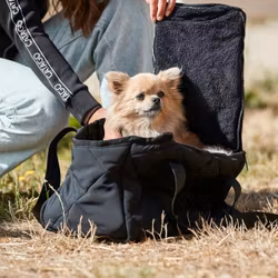 CATAGO Quilted Dog Carrier, Black