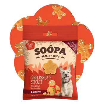 SOOPA Healthy Bites Gingerbread Biscuit