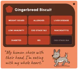 SOOPA Healthy Bites Gingerbread Biscuit