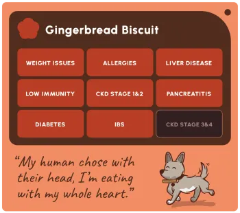 SOOPA Healthy Bites Gingerbread Biscuit