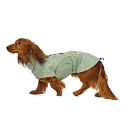 Dachshund Raincoat Dublin 2.0 Dusty Mint