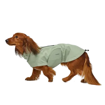 Dachshund Raincoat Dublin 2.0 Dusty Mint