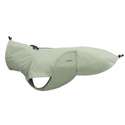 Dachshund Raincoat Dublin 2.0 Dusty Mint