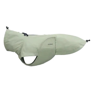 Dachshund Raincoat Dublin 2.0 Dusty Mint