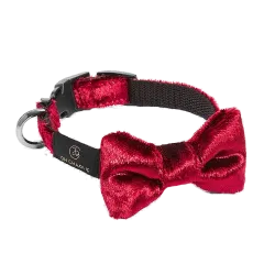 Halsband Bow-tie, Maroon