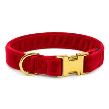 Jackie Halsband Röd Sammet